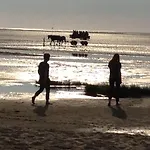 Strand&Heide